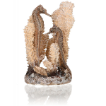 BiOrb Reef One seahorses on coral natural  s 55038