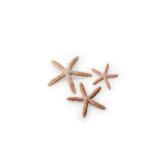 BiOrb Starfish Set of 3 natural 48357