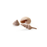BiOrb Sea Shells Set of 3 Ornament Decor natural 48355